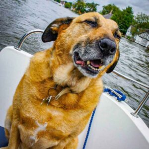 Heaven on a Norfolk Broads Hire Boat