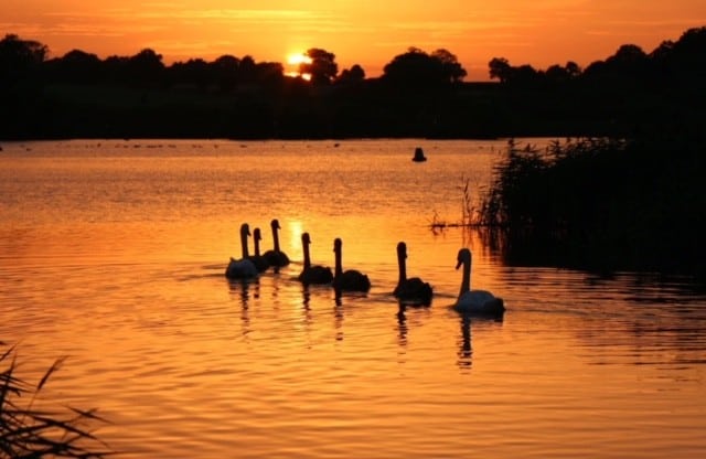 Norfolk Broads