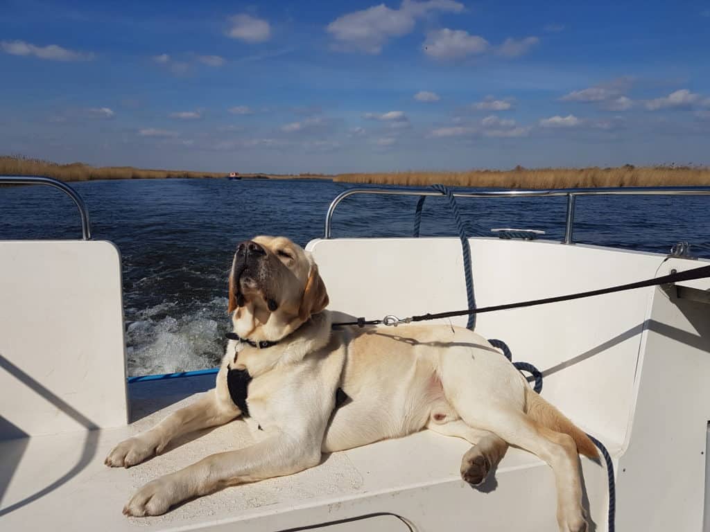 3 day boating trip - Enjoying crossing Barton Broad
