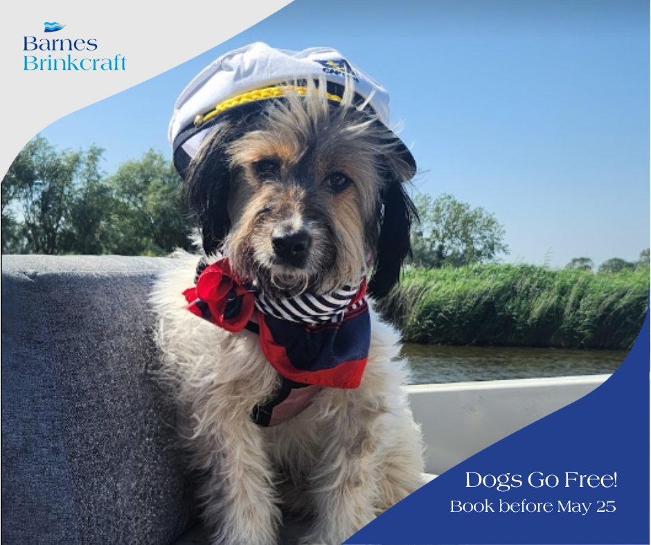 Dogs go free promotion, with image of a dog in a sailors hat on a holiday boat